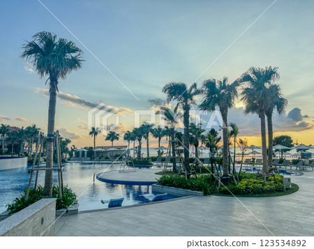 與棕櫚樹的海灘日落視圖 123534892