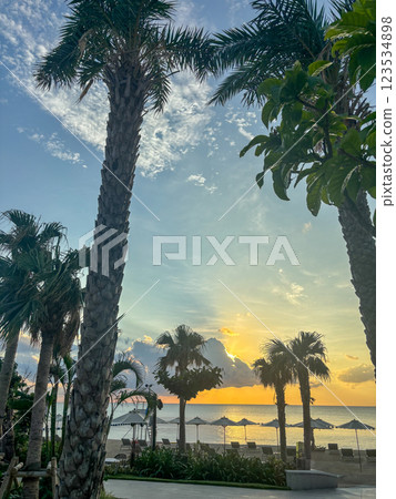 與棕櫚樹的海灘 123534898