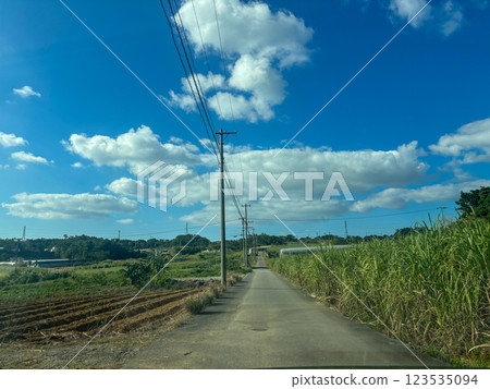 Blue sky, clouds and sugarcane fields in Okinawa 123535094