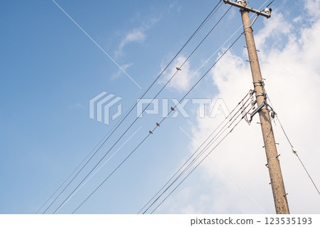 一隻小鳥棲息在電線上 一隻小鳥棲息在電線上 123535193