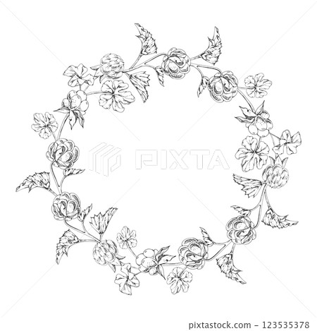 Cloudberry raspberry on stems with plant leaves hand drawn vector ink, line ripe forest berry. Isolated botanical illustration wreath round frame. Restaurant, cafe menu, farmers market, recipe book Cloudberry raspberry on stems with plant leaves hand drawn vector ink, line ripe forest berry. Isolated botanical illustration wreath round frame. Restaurant, cafe menu, farmers market, recipe book 123535378