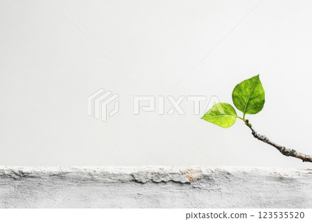 Single green leaf rises from barren branch in minimalist composition against soft background 123535520