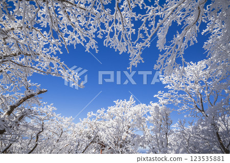 藍天與霧凇 123535881