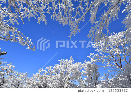 藍天與霧凇 123535882