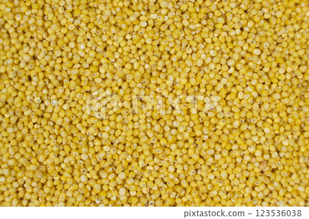 Whole millet grains top view macro Whole millet grains top view macro 123536038