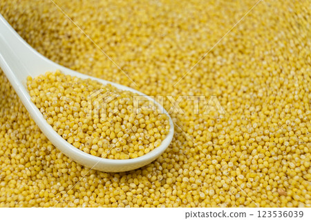 Uncooked organic raw millet grains in a spoon close-up Uncooked organic raw millet grains in a spoon close-up 123536039
