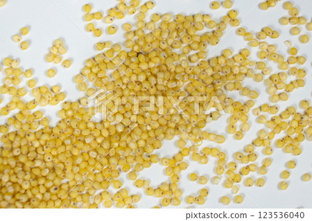 Whole millet grains on white background top view macro Whole millet grains on white background top view macro 123536040