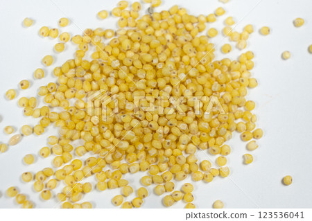 Whole millet grains on white background top view macro Whole millet grains on white background top view macro 123536041