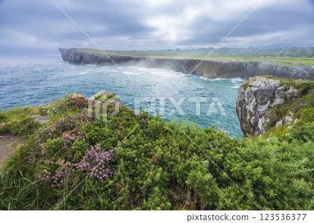 Typical landscape with cliffs above sea near Ribadesella (Ribeseya), Asturias, Spain Typical landscape with cliffs above sea near Ribadesella (Ribeseya), Asturias, Spain 123536377