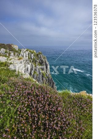 Typical landscape with cliffs above sea near Ribadesella (Ribeseya), Asturias, Spain 123536378