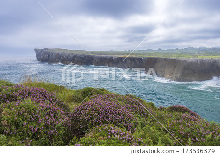 Typical landscape with cliffs above sea near Ribadesella (Ribeseya), Asturias, Spain Typical landscape with cliffs above sea near Ribadesella (Ribeseya), Asturias, Spain 123536379