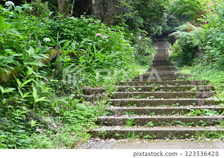 綠樹掩映的石階 123536428