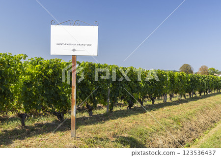 Typical vineyards with information board Grand Cru Classe near Saint-Emilion, Bordeaux, Aquitaine, France Typical vineyards with information board Grand Cru Classe near Saint-Emilion, Bordeaux, Aquitaine, France 123536437