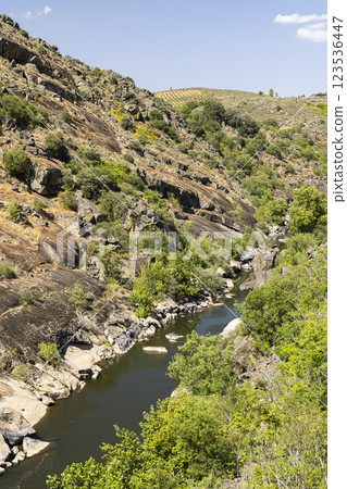 Tua Nature Park (Parque natural Vale do Tua), Northern Portugal, Portugal 123536447