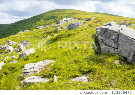 landscape with rocks among the grass on the hillside. beautiful destination for wilderness tourism. sunny day. scenery of carpathian mountain range in summer. vacation season. meadow on the hill top 123536472