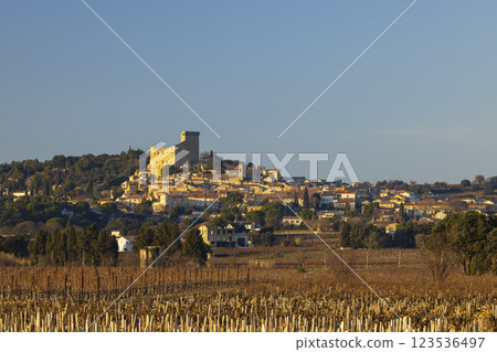 Typical vineyard with stones near Chateauneuf-du-Pape, Cotes du Rhone, France 123536497