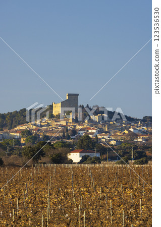 Typical vineyard with stones near Chateauneuf-du-Pape, Cotes du Rhone, France 123536530