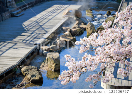 島根縣 > 玉造溫泉之春:玉湯川足浴與櫻花 島根縣 > 玉造溫泉之春:玉湯川足浴與櫻花 123536737