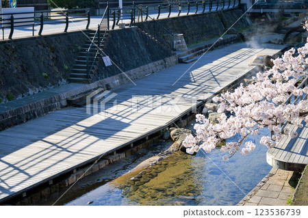 Shimane Prefecture > Spring in Tamatsukuri Onsen: Footbaths and Cherry Blossoms at Tamayu River 123536739