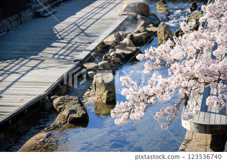 <島根縣>玉造溫泉之春:玉湯川足浴與櫻花 <島根縣>玉造溫泉之春:玉湯川足浴與櫻花 123536740
