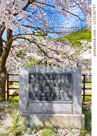 <Shimane Prefecture> Tamatsukuri Onsen in spring - Stone monument with "Tamatsukuri Onsen" written on it <Shimane Prefecture> Tamatsukuri Onsen in spring - Stone monument with "Tamatsukuri Onsen" written on it 123536747