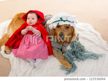 Baby Little Red Riding Hood with wolf dog as grandma Baby Little Red Riding Hood with wolf dog as grandma 123536944