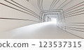 Luxury parametric abstract architectural minimalistic background. Contemporary showroom. Modern colored glass exhibition tunnel. Empty gallery. Backlight. 3D illustration and rendering. 123537315