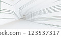 Luxury parametric abstract architectural minimalistic background. Contemporary showroom. Modern colored glass exhibition tunnel. Empty gallery. Backlight. 3D illustration and rendering. 123537317
