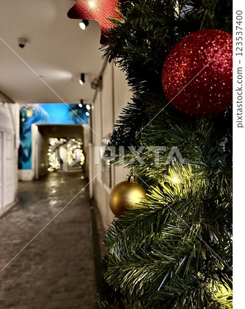 Christmas Passage 123537400