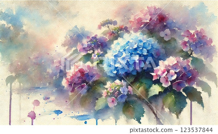 Watercolor Hydrangea Flowers 123537844