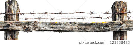 Military barbed wire fence close-up 123538423