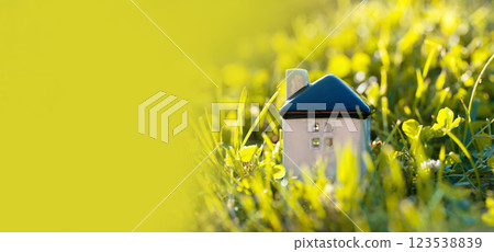 Miniature white house on a green grass. Real estate concept. Eco-friendly home. Buying a housing outside the city. Selective focus, banner Miniature white house on a green grass. Real estate concept. Eco-friendly home. Buying a housing outside the city. Selective focus, banner 123538839