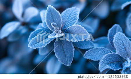 冰花背景素材(生成式人工智慧) 冰花背景素材(生成式人工智慧) 123538888