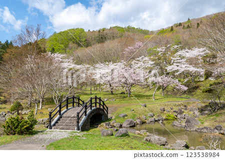 函館水壩公園的櫻花與橋樑景觀 函館水壩公園的櫻花與橋樑景觀 123538984