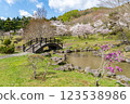 新中野水壩公園的櫻花與橋樑景觀 123538986