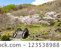 水壩公園（新中野水壩）的櫻花與橋樑景觀 123538988