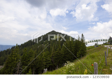 Mountain hiking Wallberg and Setzberg mountain, Bavaria, Germany 123539930