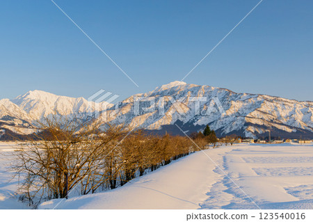 Mount Echigo-Komagatake and Mount Hakkai seen from the snowy fields 123540016
