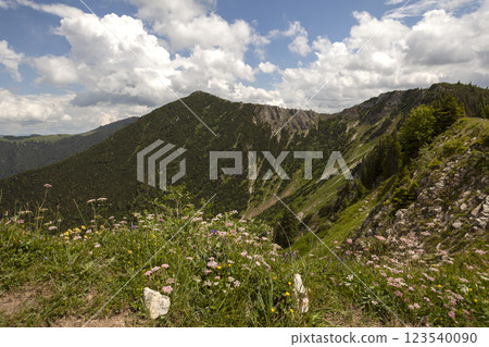 Mountain hiking at Brecherspitze mountain, Bavaria, Germany in summertime Mountain hiking at Brecherspitze mountain, Bavaria, Germany in summertime 123540090