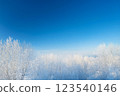 Snowy winter landscape 123540146