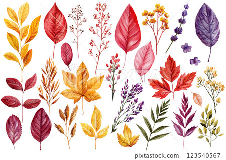 Autumn leaves watercolor set. Beautiful fall foliage. Seasonal decor. Botanical clipart, Nature painting Isolated 123540567