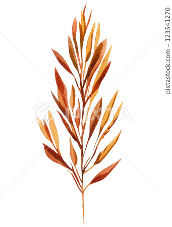 Dry leaf isolated. Hand Painted Watercolor Foliage element. Autumn Season Leaves, Branch in Warm Fall Colors 123541270