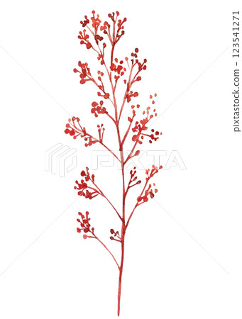 Autumn Season red Branch, Fall Colors. Dry Branch isolated. Hand Painted Watercolor Foliage 123541271