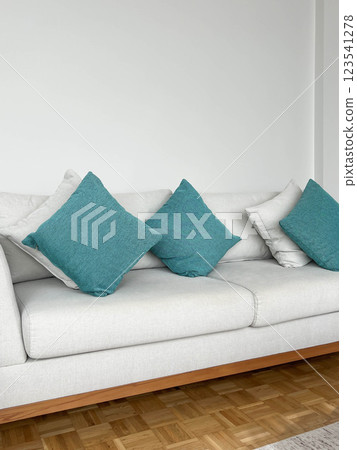 empty couch with pillows or cushions in room empty couch with pillows or cushions in room 123541278