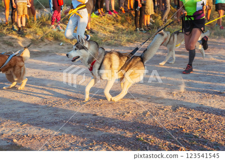 a sports race of athletes with their dogs. charity run with personal pets on a sports race of athletes with their dogs. charity run with personal pets on 123541545