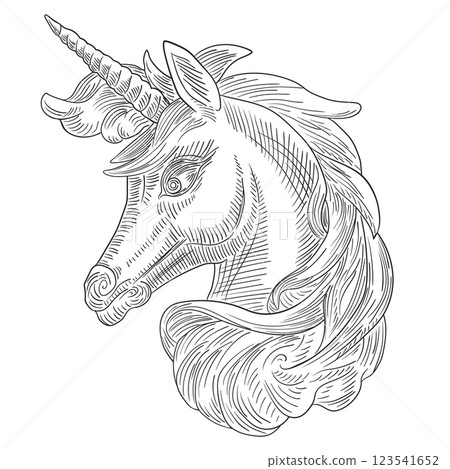 Engraved Unicorn Vintage Ink Drawing Line Art in Vintage style 123541652