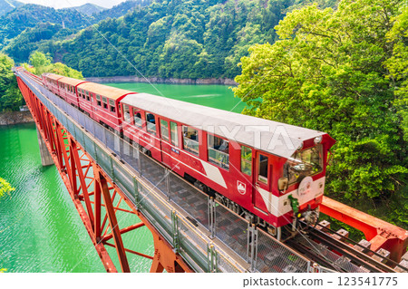 【靜岡縣】穿越大井川鐵道彩虹橋的電車 【靜岡縣】穿越大井川鐵道彩虹橋的電車 123541775
