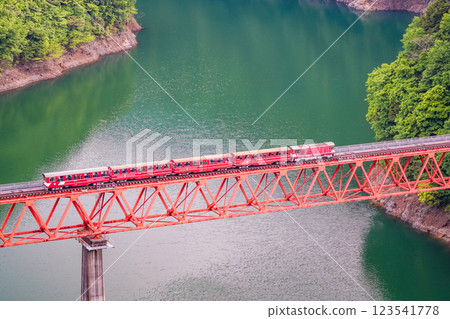 【靜岡縣】穿越大井川鐵道彩虹橋的電車 123541778