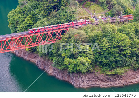 【靜岡縣】穿越大井川鐵道彩虹橋的電車 123541779