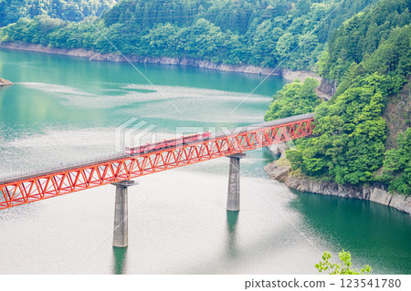 [Shizuoka Prefecture] A train crossing the Oigawa Railway Rainbow Bridge 123541780
